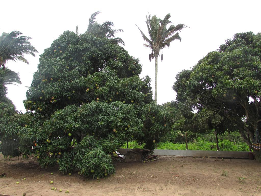 Pousada Sitio Costa Verde Ubajara Exterior foto
